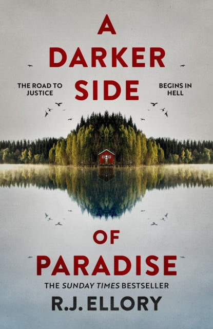 Darker Side of Paradise 9781398724006 R.j. Ellory
